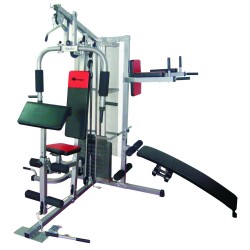 Powermax Fitness GH 450 Multi Gym